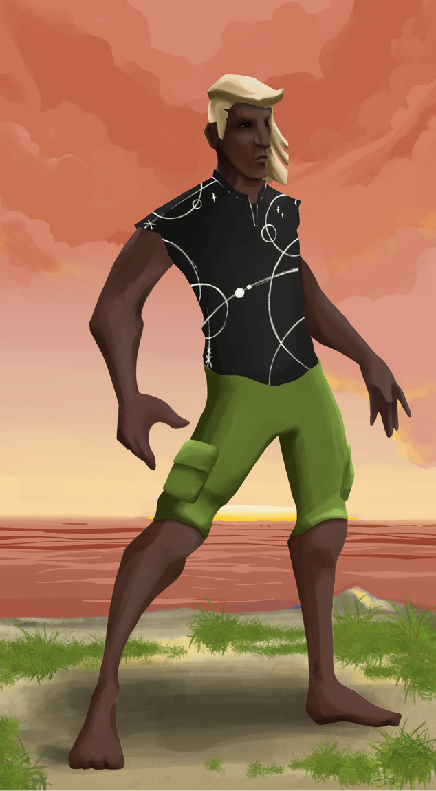 AlgoSeas Pirate #17073 NFT on Algorand