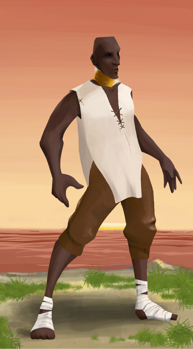 AlgoSeas Pirate #20686 NFT on Algorand