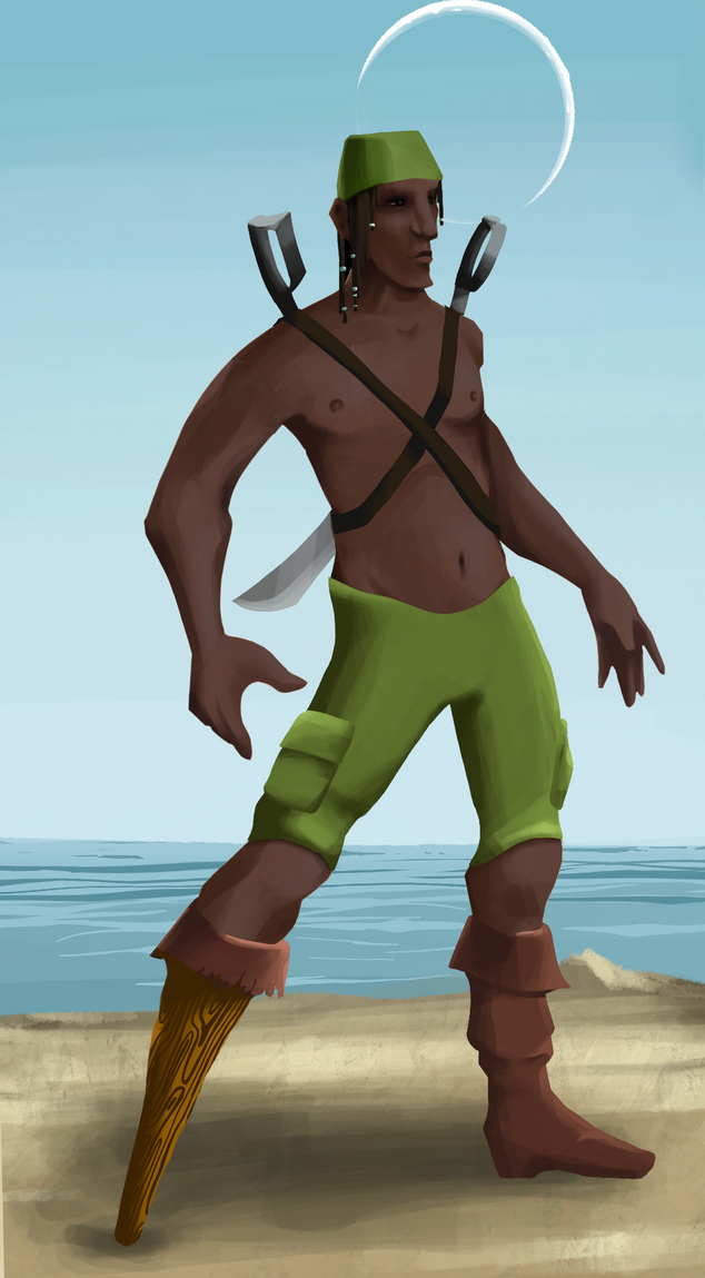AlgoSeas Pirate #21010 icon