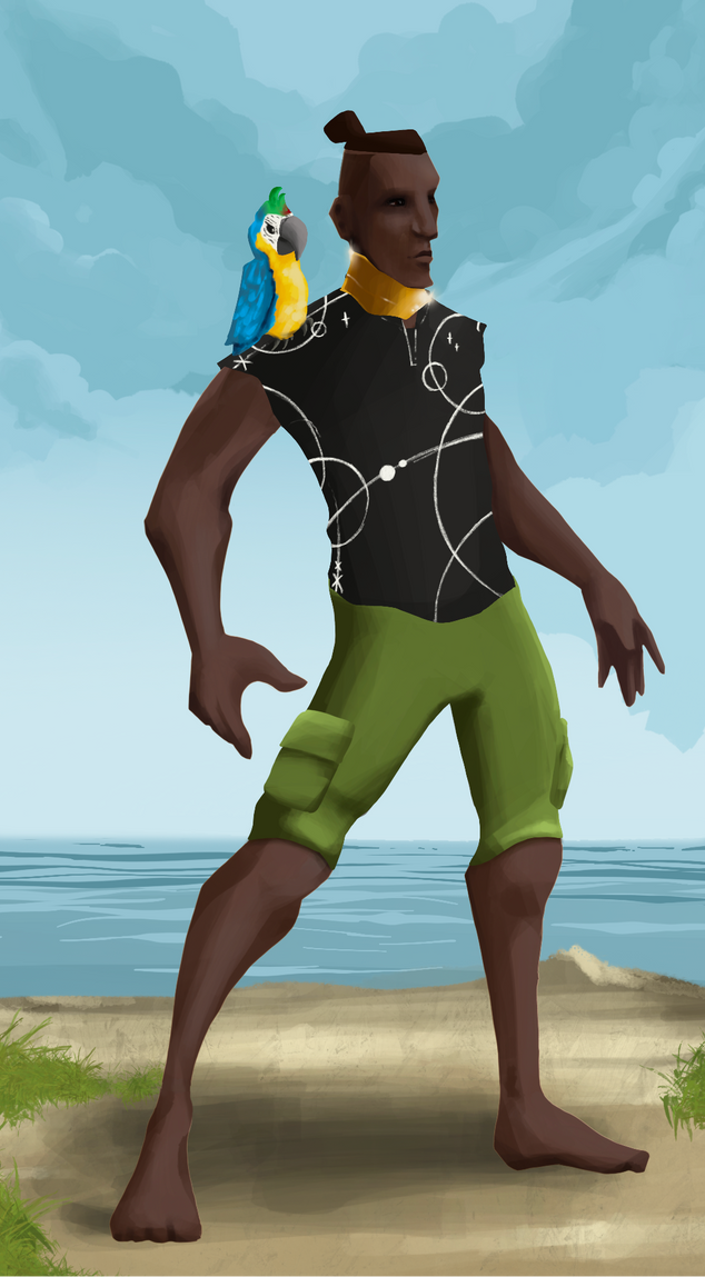 AlgoSeas Pirate #22074 NFT on Algorand