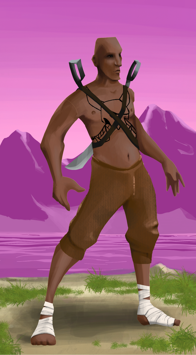 AlgoSeas Pirate #30463 NFT on Algorand