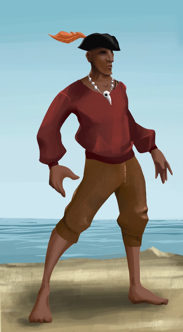 AlgoSeas Pirate #33201 NFT on Algorand