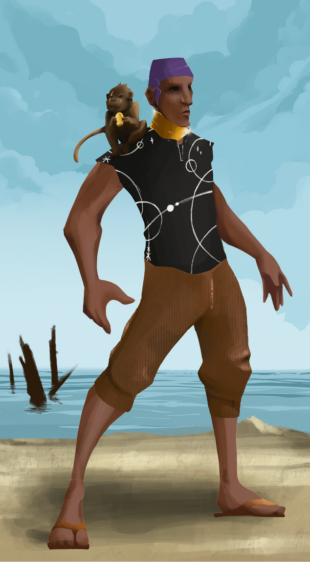 AlgoSeas Pirate #8134 NFT on Algorand